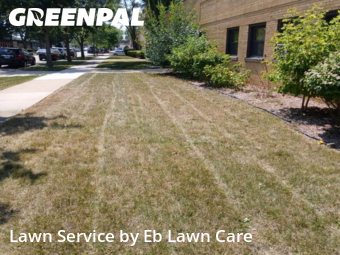 Lawn Maintenancein Skokie,60076,Yard Cutting by Eb Lawn Care , work completed in Nov , 2025