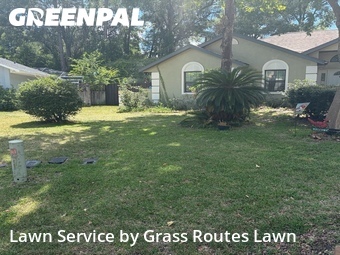 Lawn Mowing Service nearby Ocala, FL, 