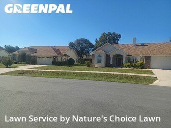 Work completed by local-lawn-cutting-services-in-Beverly Hills-CA