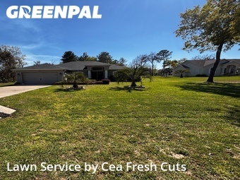 Lawn Maintenance nearby Ocala, FL, 