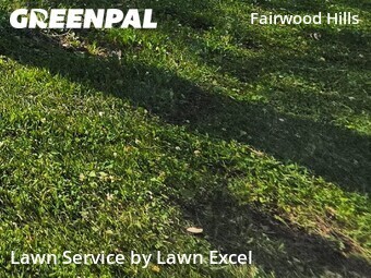 Lawn Mowing Service nearby Indianapolis, IN, 
