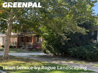 Yard Mowing nearby Oak Park, IL, 