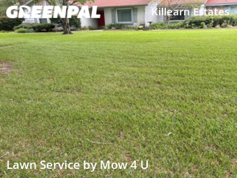 Yard Cutting nearby Tallahassee, FL, 