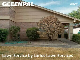 Lawn Cut nearby Houston, TX, 