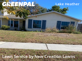 Lawn mowed in Brandon, 33510