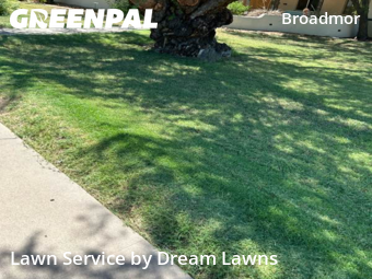 Turf Services in Tempe, 85282, Lawn Maintenance by Dream Lawns, work completed in Oct , 2025