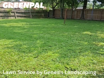 Grass Cut nearby South Houston, TX, 