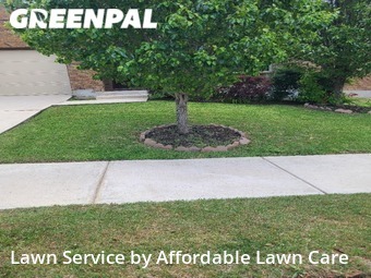Lawn Mowing Service nearby Schertz, TX, 
