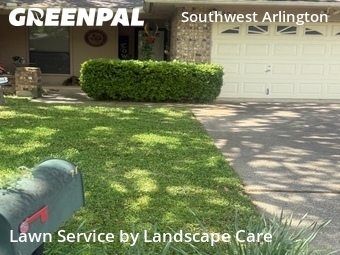Lawn Cut nearby Arlington, TX, 