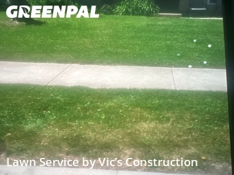 Lawn Care nearby Romeoville, IL, 