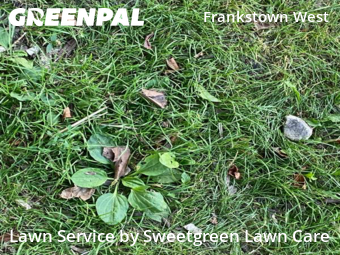 Lawn Mowing Service nearby Pittsburgh, PA, 
