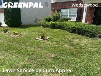 Grass Cut nearby Charlotte, NC, 