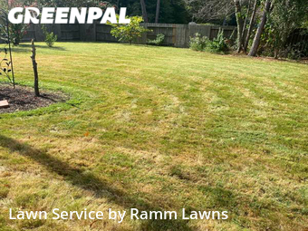 Lawn Mowing nearby Conroe, TX, 