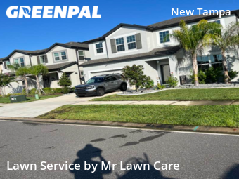 Grass Cut nearby Tampa, FL, 