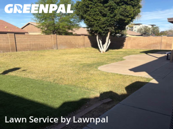 Lawn Care nearby Mesa, AZ, 