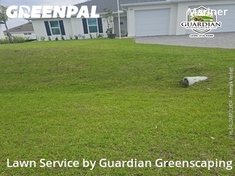 Grass Cutting nearby Cape Coral, FL, 