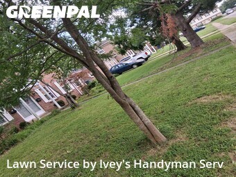 Lawn mowed in Lexington, 40517