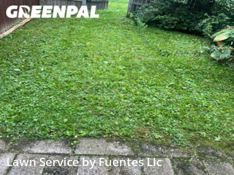 Yard Mowing nearby Nottingham, MD, 