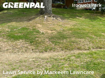 Grass Cutting nearby Louisville, KY, 
