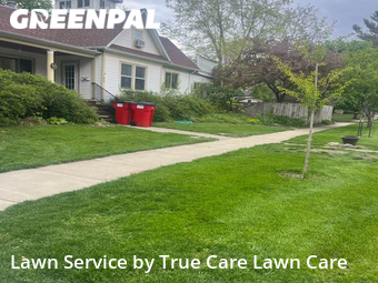 Lawn Cut nearby Champaign, IL, 