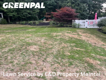 Lawn Cut nearby Hudson, NH, 