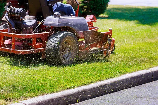 Taveras Lawn Mower Repair Photo 8