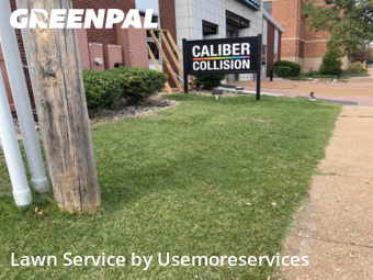 Lawn Mowing Service nearby St. Louis, MO, 