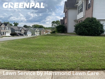 Grass Cut nearby Acworth, GA, 