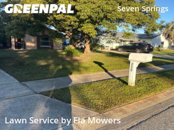 Lawn Cut nearby Trinity, FL, 