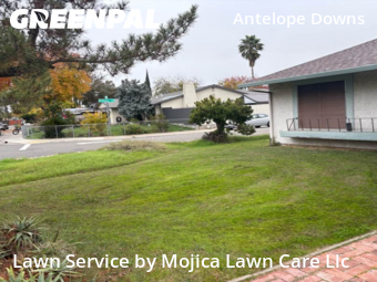 Work completed by the-yard-cutting-businesses-in-Citrus Heights-CA