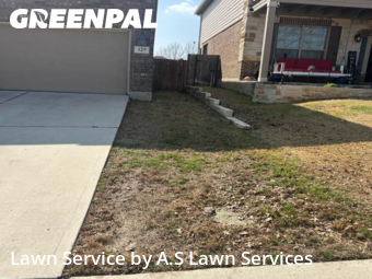 Lawn Cut nearby Cibolo, TX, 