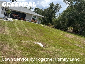 Lawn Cut nearby Port Charlotte, FL, 