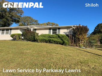 Yard Management in Asheville, 28803, Lawn Care by Parkway Lawns, work completed in Dec , 2025