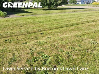 Lawn Mowing nearby Youngstown, PA, 