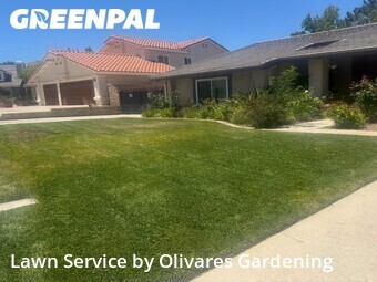 Lawn Cut nearby Palmdale, CA, 
