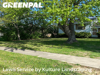 Grass Cut nearby Cincinnati, OH, 