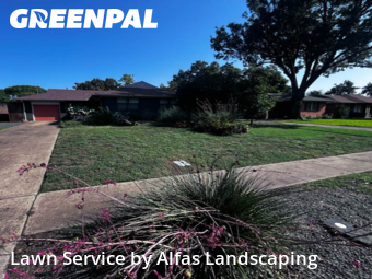 Lawn Servicein Richardson,75080,Lawn Maintenance by Alfas Landscaping, work completed in Jan , 2026
