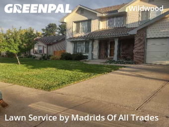 Grass Cutting nearby Fort Collins, CO, 