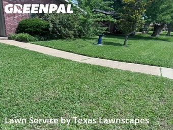 Grass Cut nearby The Colony, TX, 