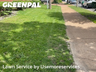 Lawn Mowing nearby St. Louis, MO, 