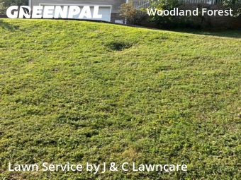 Lawn Cut nearby Nashville, TN, 