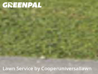Lawn Mowing Service nearby Sunrise, FL, 