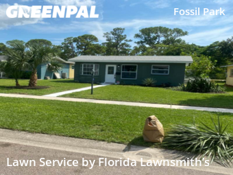 Lawn Cut nearby St. Petersburg, FL, 