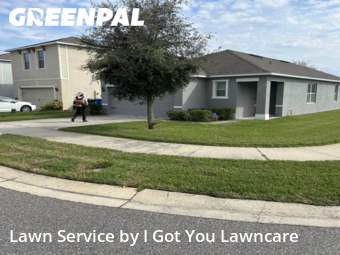 Grass Cut nearby Ocoee, FL, 