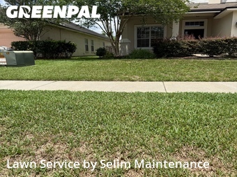 Yard Cutting nearby St. Augustine, FL, 