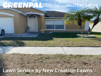 Grass Cuttingin Brandon,33511,Grass Cut by New Creation Lawns, work completed in Feb , 2026