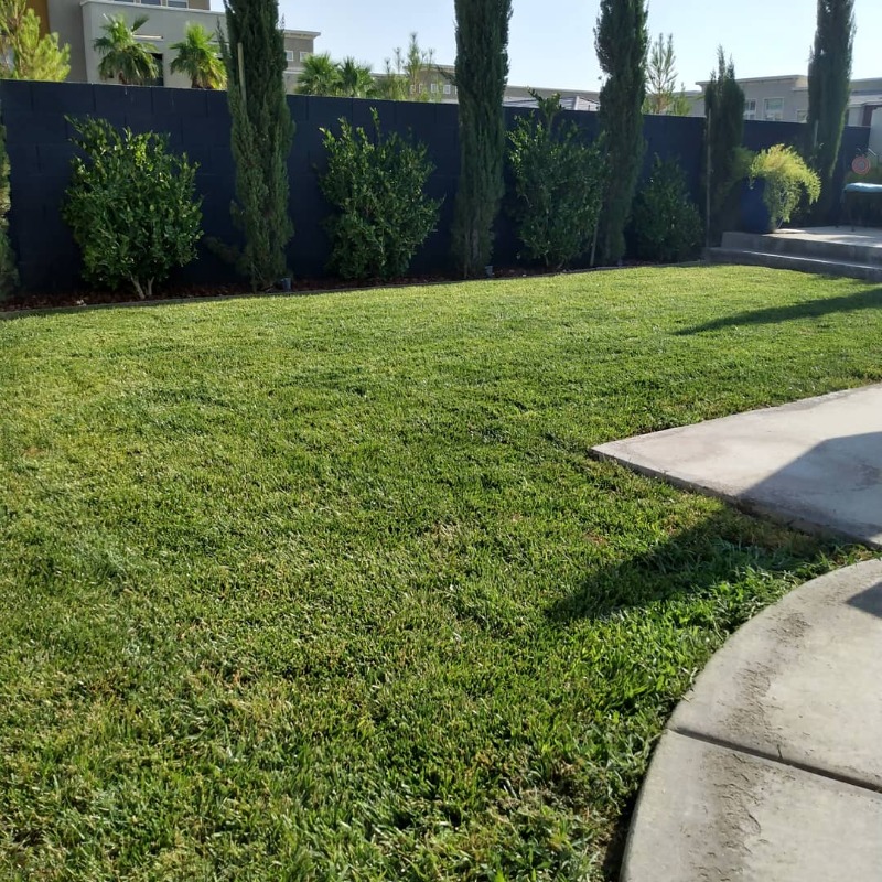 All Purpose Lawn Llc Lawn Care Services in Las Vegas, NV