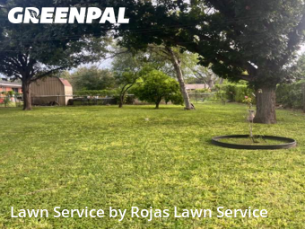 Lawn Maintenance nearby San Juan, TX, 