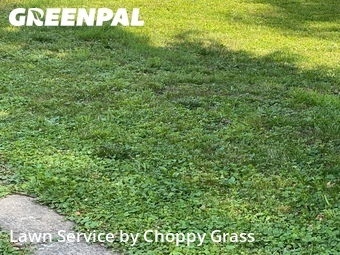 Grass Cut nearby Hillsdale, NJ, 
