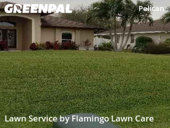 Backyard Landscaping In Cape Coral,33914,Landscaping Renovation by Flamingo Lawn Care, work completed in Dec , 2025